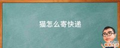 猫怎么寄快递