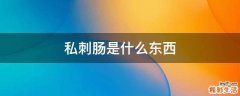 私刺肠是什么东西