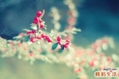 口腔溃疡蜂蜜能治疗吗