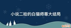 小说二哈的白猫师尊大结局
