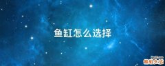 鱼缸怎么选择