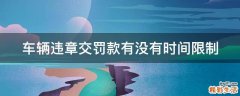 车辆违章交罚款有没有时间限制