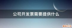 公司开发票需要提供什么