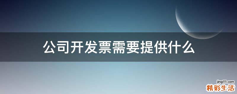 公司开发票需要提供什么