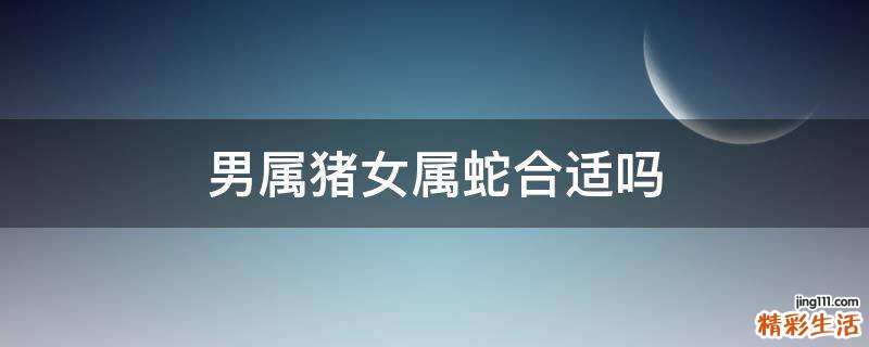 男属猪女属蛇合适吗