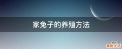 家兔子的养殖方法