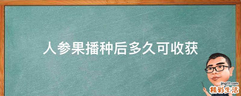 人参果播种后多久可收获