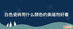 白色瓷砖用什么颜色的美缝剂好看