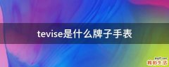 tevise是什么牌子手表