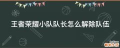 王者荣耀小队队长怎么解除队伍