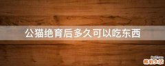 公猫绝育后多久可以吃东西