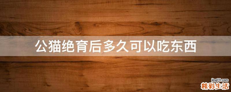 公猫绝育后多久可以吃东西