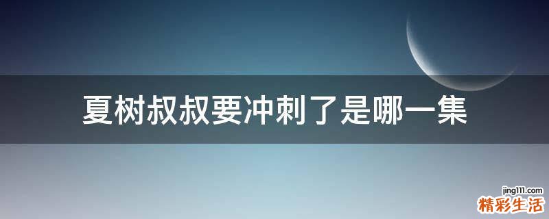 夏树叔叔要冲刺了是哪一集