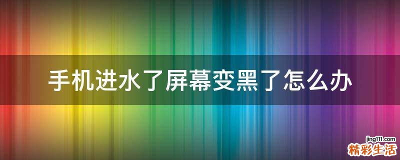 手机进水了屏幕变黑了怎么办