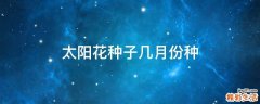 太阳花种子几月份种