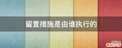 留置措施是由谁执行的