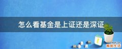 怎么看基金是上证还是深证