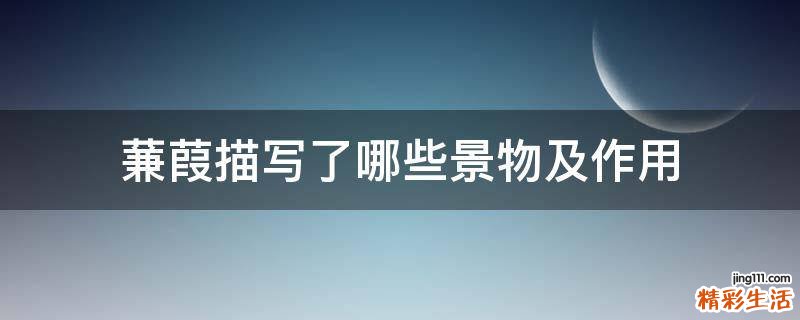 蒹葭描写了哪些景物及作用