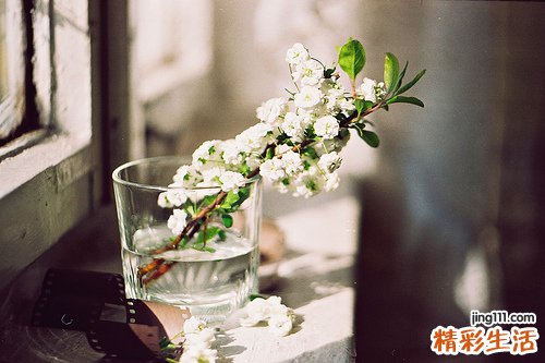 小舞蹈病