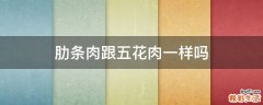 肋条肉跟五花肉一样吗