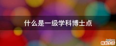 什么是一级学科博士点