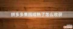 拼多多果园成熟了怎么收获
