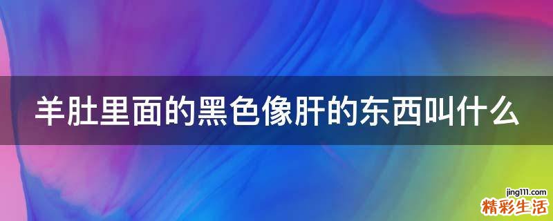 羊肚里面的黑色像肝的东西叫什么
