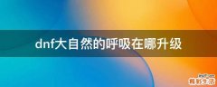 dnf大自然的呼吸在哪升级