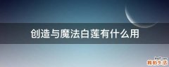 创造与魔法白莲有什么用