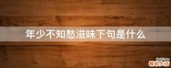 年少不知愁滋味下句是什么