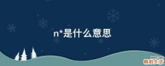 n*是什么意思