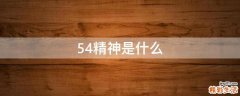 54精神是什么