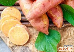 秋季荨麻疹可以吃红薯吗 秋季荨麻疹吃什么水果好