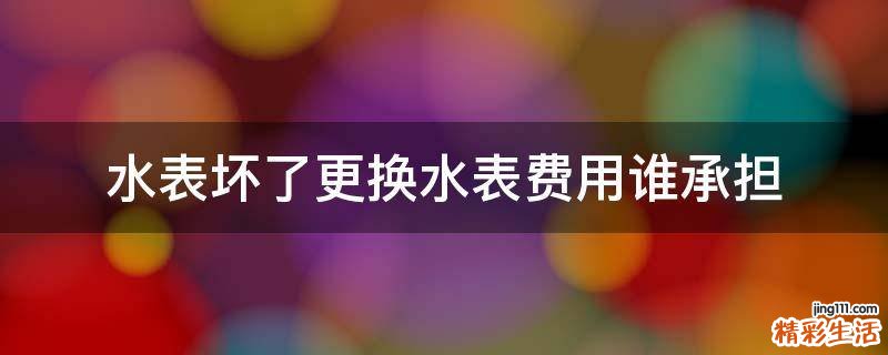 水表坏了更换水表费用谁承担