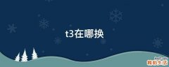 t3在哪换