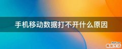 手机移动数据打不开什么原因