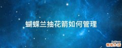 蝴蝶兰抽花箭如何管理