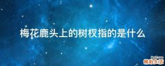 梅花鹿头上的树杈指的是什么
