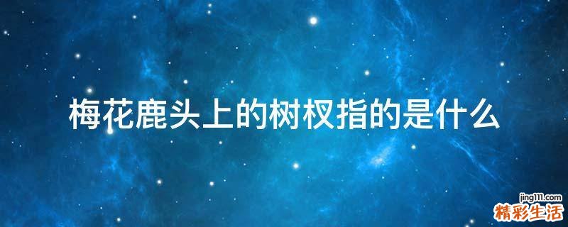 梅花鹿头上的树杈指的是什么