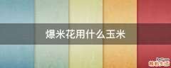 爆米花用什么玉米