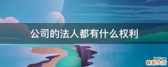公司的法人都有什么权利