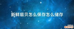 新鲜扇贝怎么保存怎么储存
