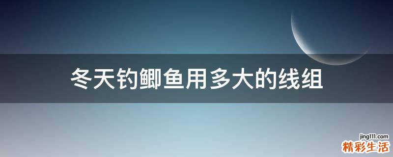 冬天钓鲫鱼用多大的线组