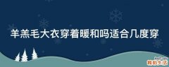 羊羔毛大衣穿着暖和吗适合几度穿