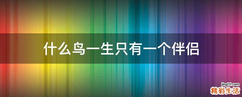 什么鸟一生只有一个伴侣