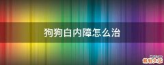 狗狗白内障怎么治