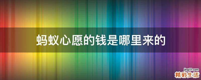 蚂蚁心愿的钱是哪里来的