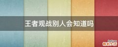 王者观战别人会知道吗