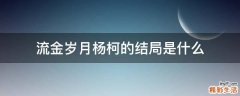流金岁月杨柯的结局是什么