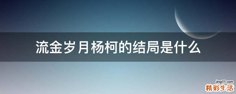 流金岁月杨柯的结局是什么